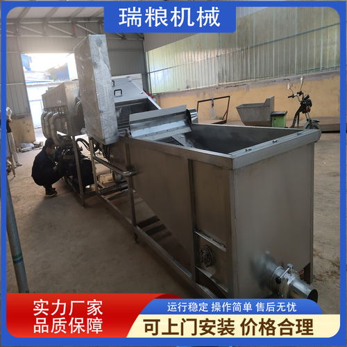 瑞糧機械生產 大姜加工設備 洗姜機器 鮮姜去泥設備
