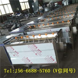 大型蔬菜氣泡清洗機,全自動蔬菜加工廠清洗設備