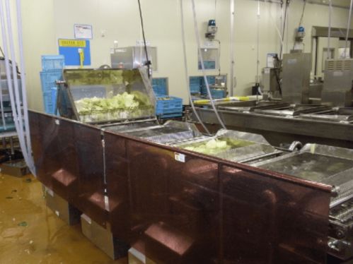 日本電解水應用實錄 電解水 讓食品工廠更清潔
