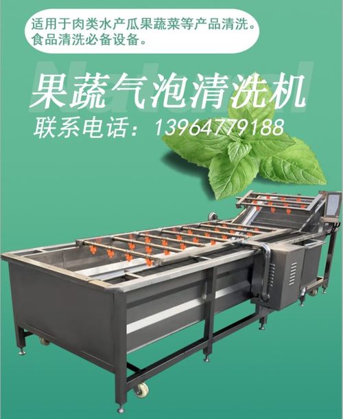 【車?yán)遄忧逑瓷a(chǎn)線櫻桃氣泡清洗加工設(shè)備】-