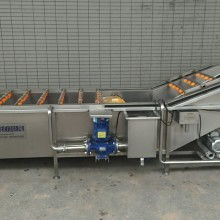 2019辣椒清洗設備價格 報價 辣椒清洗設備批發(fā) 